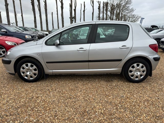 Peugeot 307 1.4 Rapier Silver #4