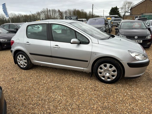 Peugeot 307 1.4 Rapier Silver #5