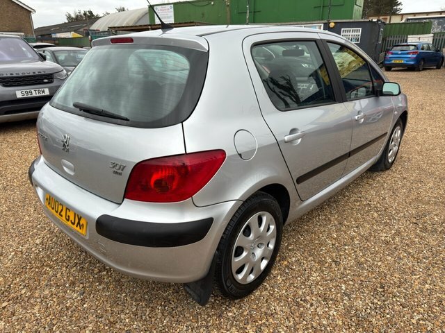 Peugeot 307 1.4 Rapier Silver #8