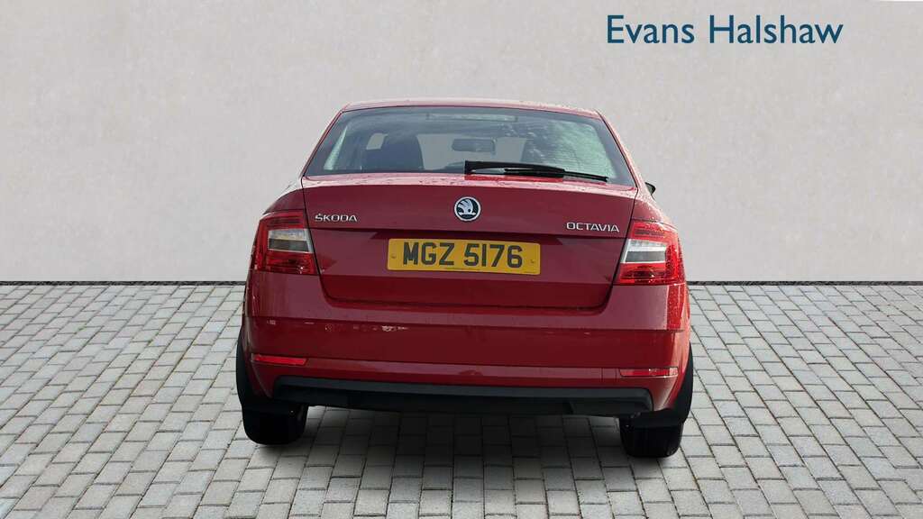 Skoda Octavia 1.6 Tdi Cr S 2019 Red #5