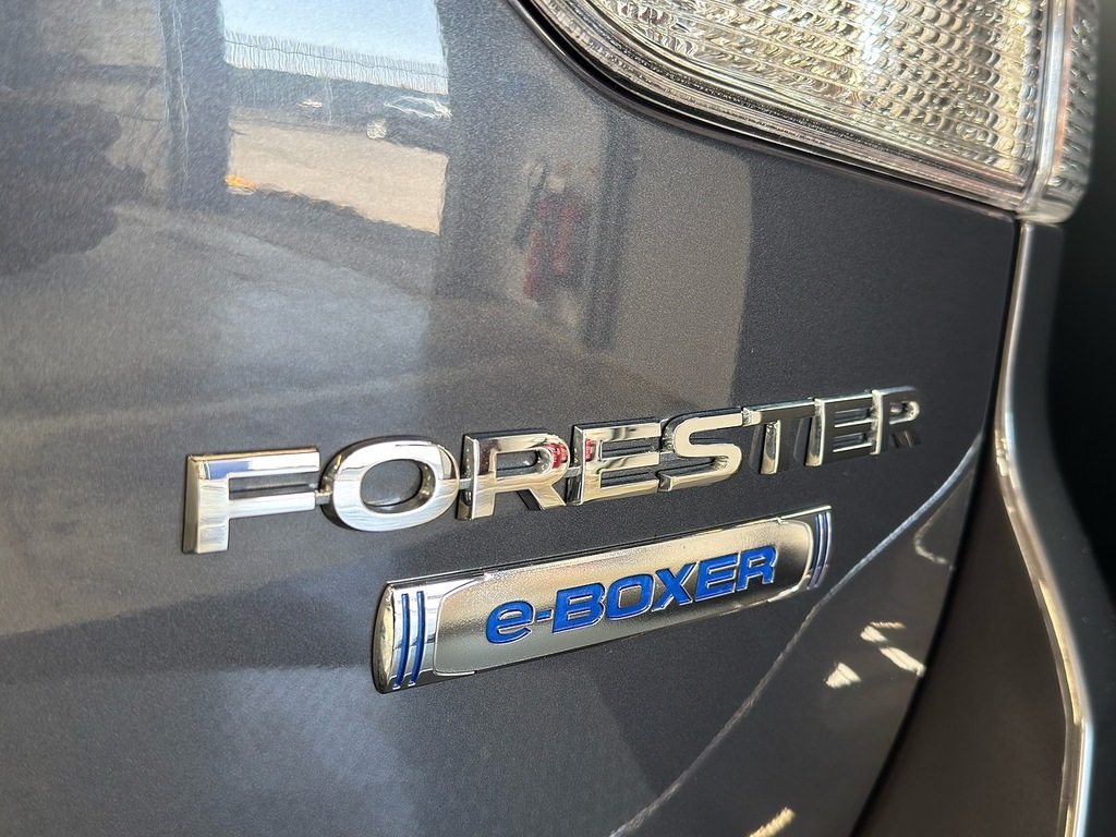 Subaru Forester 2.0 I E-boxer Xe Lineartronic 4Wd Euro 6 Ss Black #9