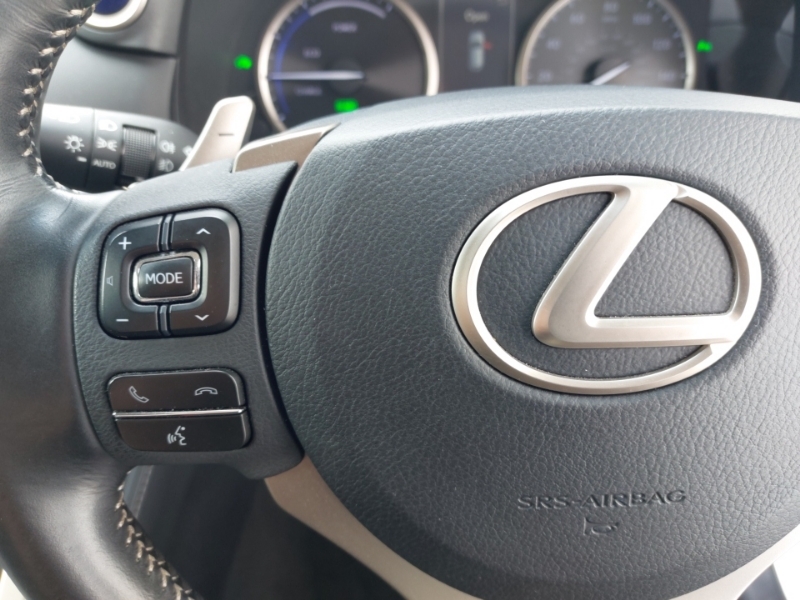 Lexus NX 2.5 300H Sport E-cvt 4Wd Euro 6 Ss Silver #12