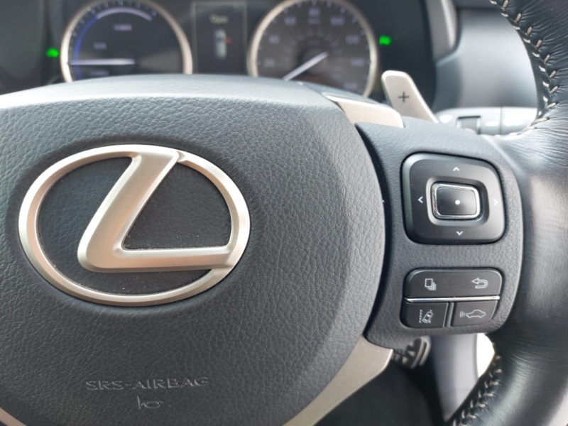 Lexus NX 2.5 300H Sport E-cvt 4Wd Euro 6 Ss Silver #13