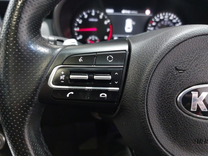 Kia Stinger 2.2 Crdi Gt-line Gran Turismo Euro 6 Ss Grey #12