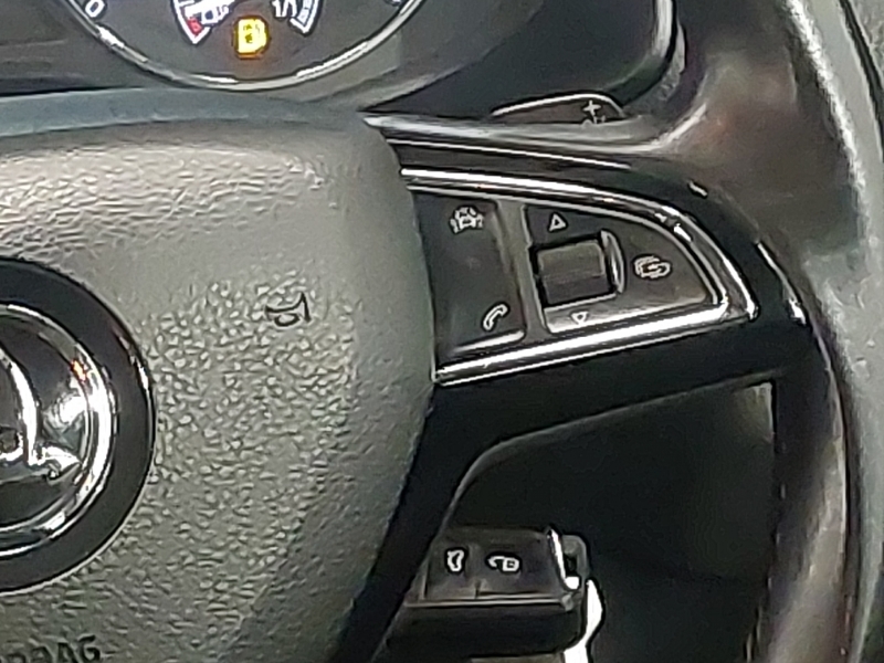 Skoda Karoq Se L Blue #13