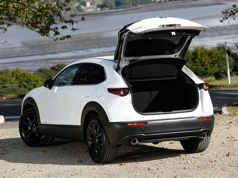 Mazda CX-30 2.0 E-skyactiv X Mhev Homura Sunroof Black #17