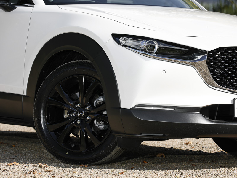 Mazda CX-30 2.0 E-skyactiv X Mhev Homura Sunroof Black #19