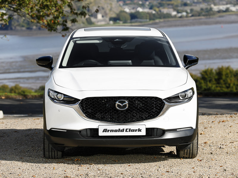 Mazda CX-30 2.0 E-skyactiv X Mhev Homura Sunroof Black #14