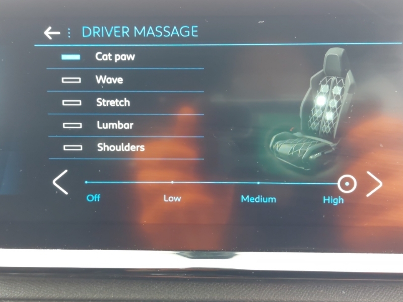 Peugeot 3008 1.5 Bluehdi Active Premium Grey #17