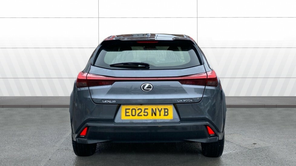 Lexus UX Urban Grey #6