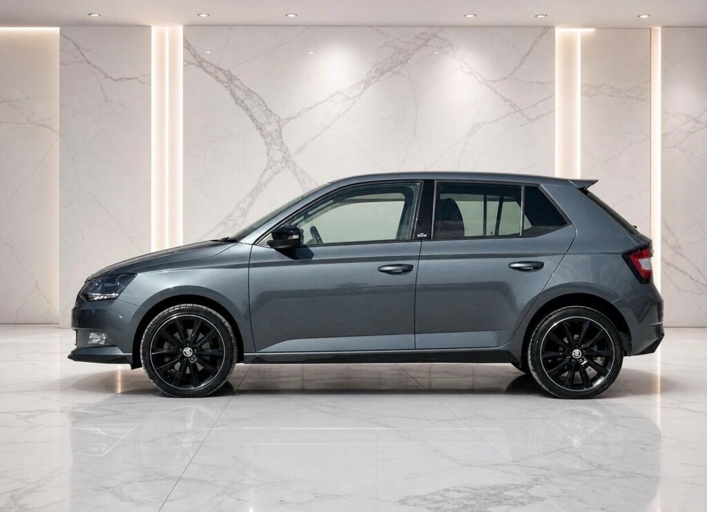 Skoda Fabia 1.2 Tsi Monte Carlo Euro 6 Ss Grey #4