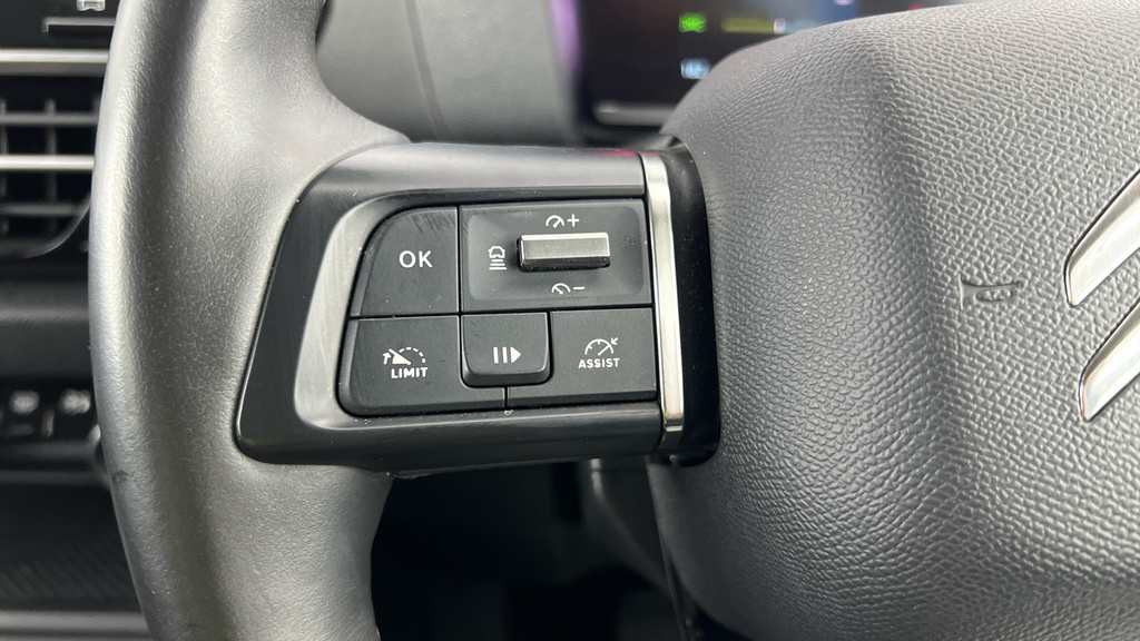 Citroen e-C4 100Kw Shine 50Kwh 7.4Kw Charger Grey #14