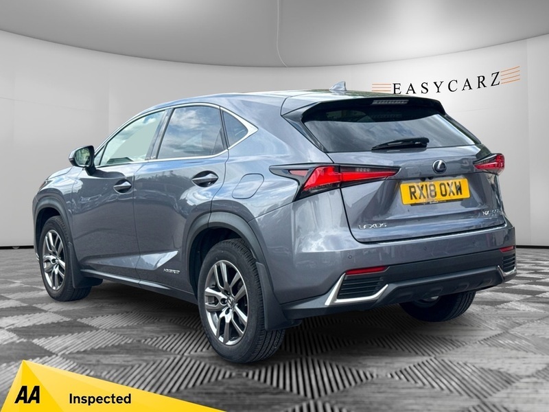 Lexus NX Luxury Grey #6