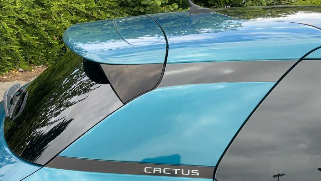 Citroen C4 Cactus 1.5 Bluehdi Feel Euro 6 Ss  #17