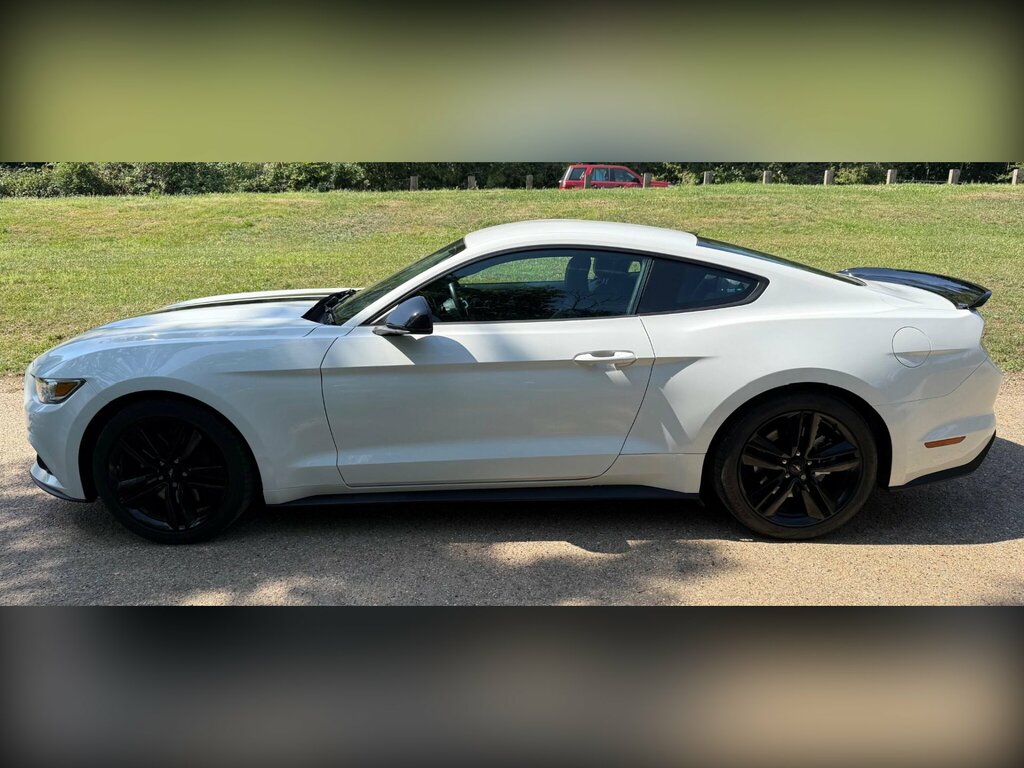 Ford Mustang 2.3T Ecoboost Fastback Euro 6 White #5