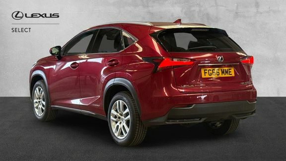 Lexus NX 2.5 300H Luxury E-cvt 4Wd Euro 6 Ss Red #4