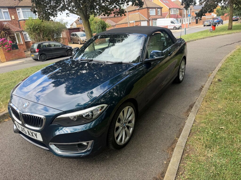 BMW 2 Series 2.0 220I Luxury Euro 6 Ss Blue #3