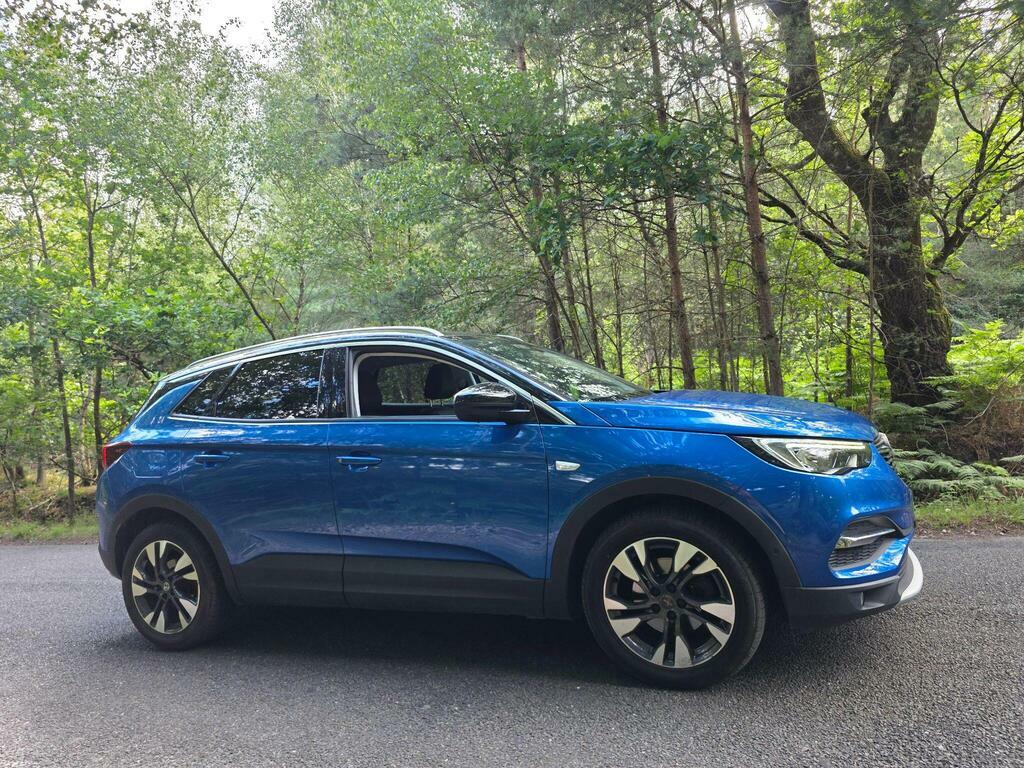 Vauxhall Grandland X 1.2 Turbo Se Grey #10