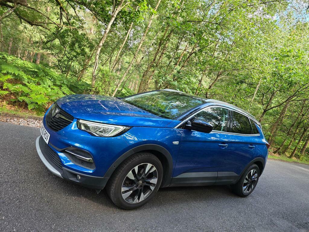 Vauxhall Grandland X 1.2 Turbo Se Grey #30