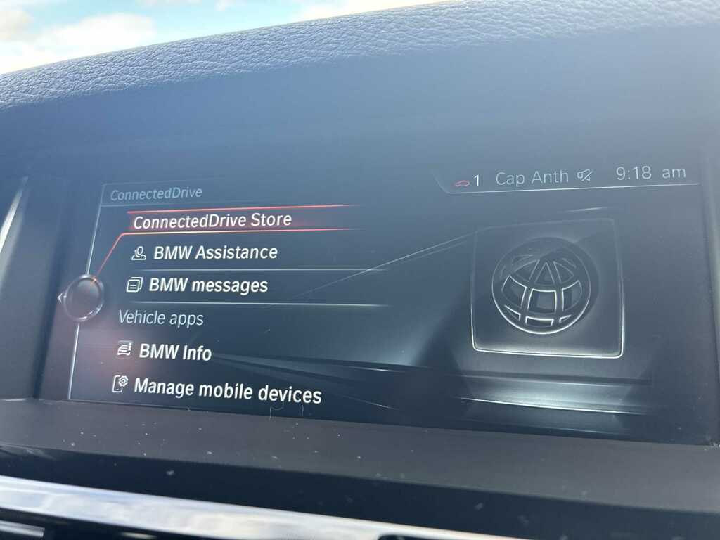 BMW X4 3.0 30D M Sport Xdrive Euro 6 Ss Grey #37