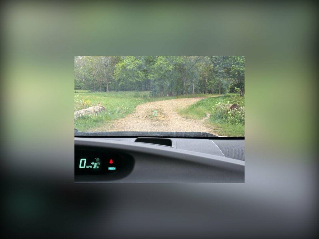 Toyota Prius 1.8 Vvti Plug-in Cvt Silver #42