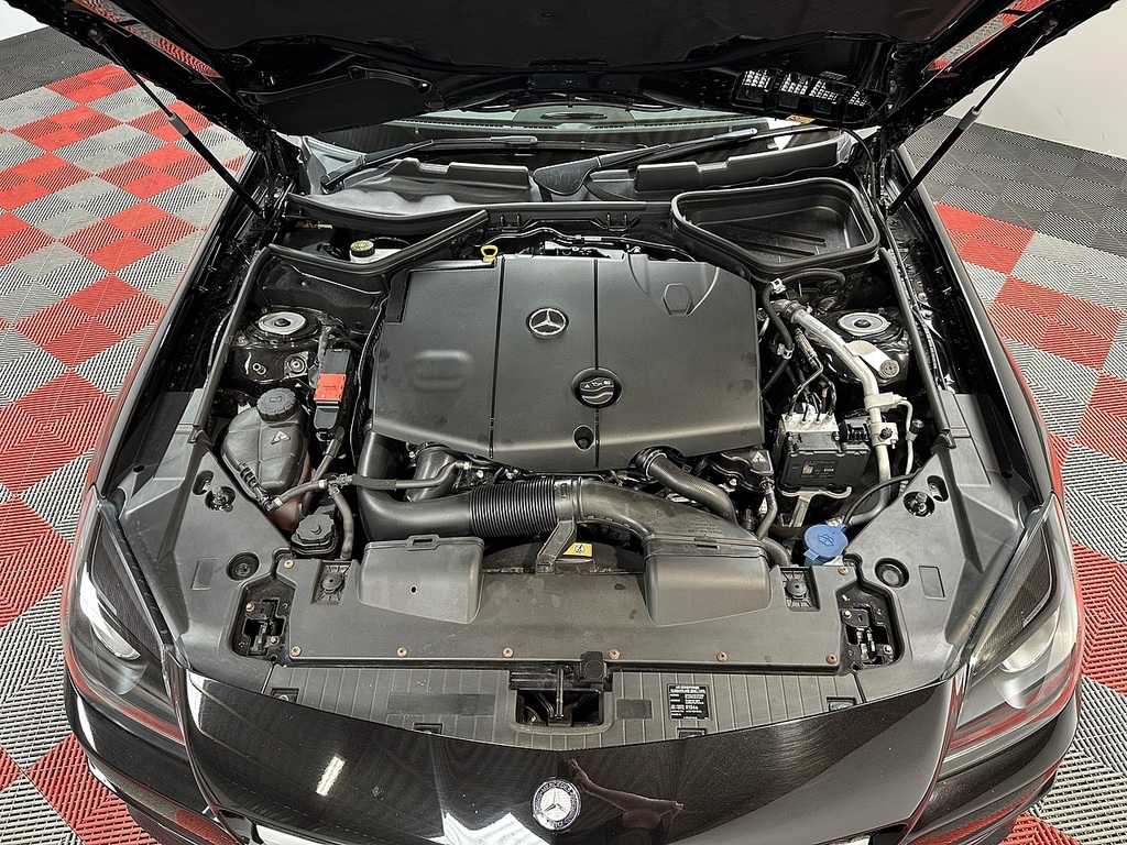 Mercedes-Benz SLK Slk 250 Cdi Blueefficiency Black #66