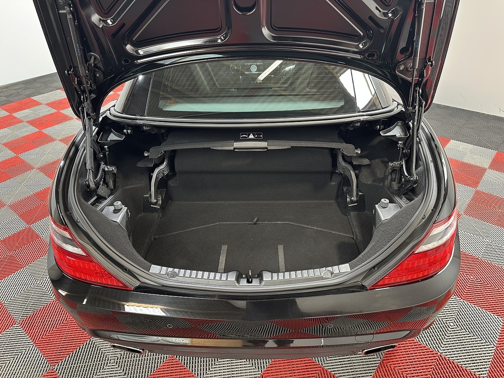 Mercedes-Benz SLK Slk 250 Cdi Blueefficiency Black #15