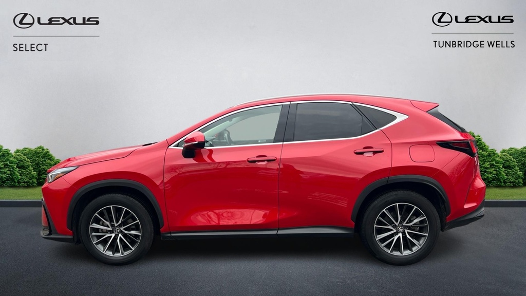 Lexus NX 2.5 350H E-cvt 4Wd Euro 6 Ss Red #3