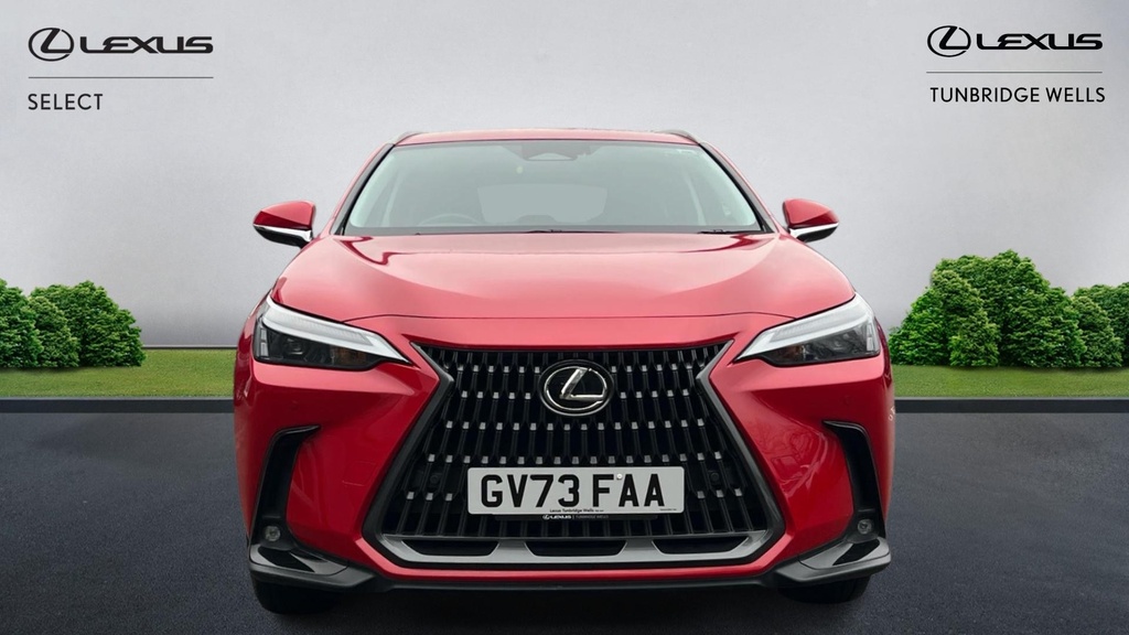 Lexus NX 2.5 350H E-cvt 4Wd Euro 6 Ss Red #4
