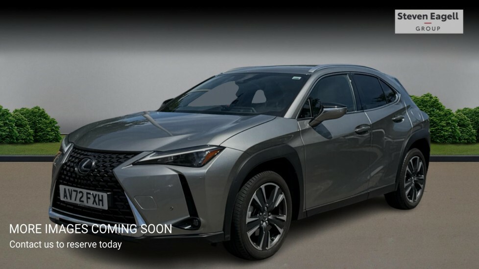 Lexus UX 2.0 250H E-cvt Euro 6 Ss Silver #3