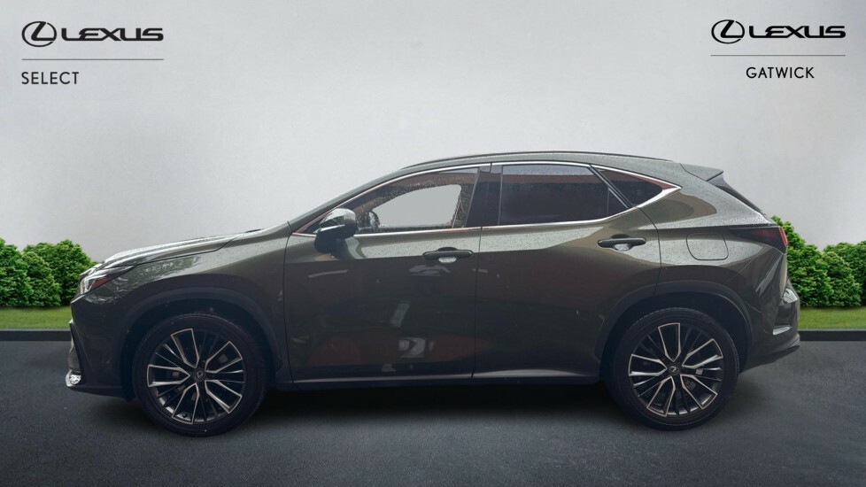 Lexus NX 2.5 450H 18.1Kwh Takumi E-cvt 4Wd Euro 6 Ss #3