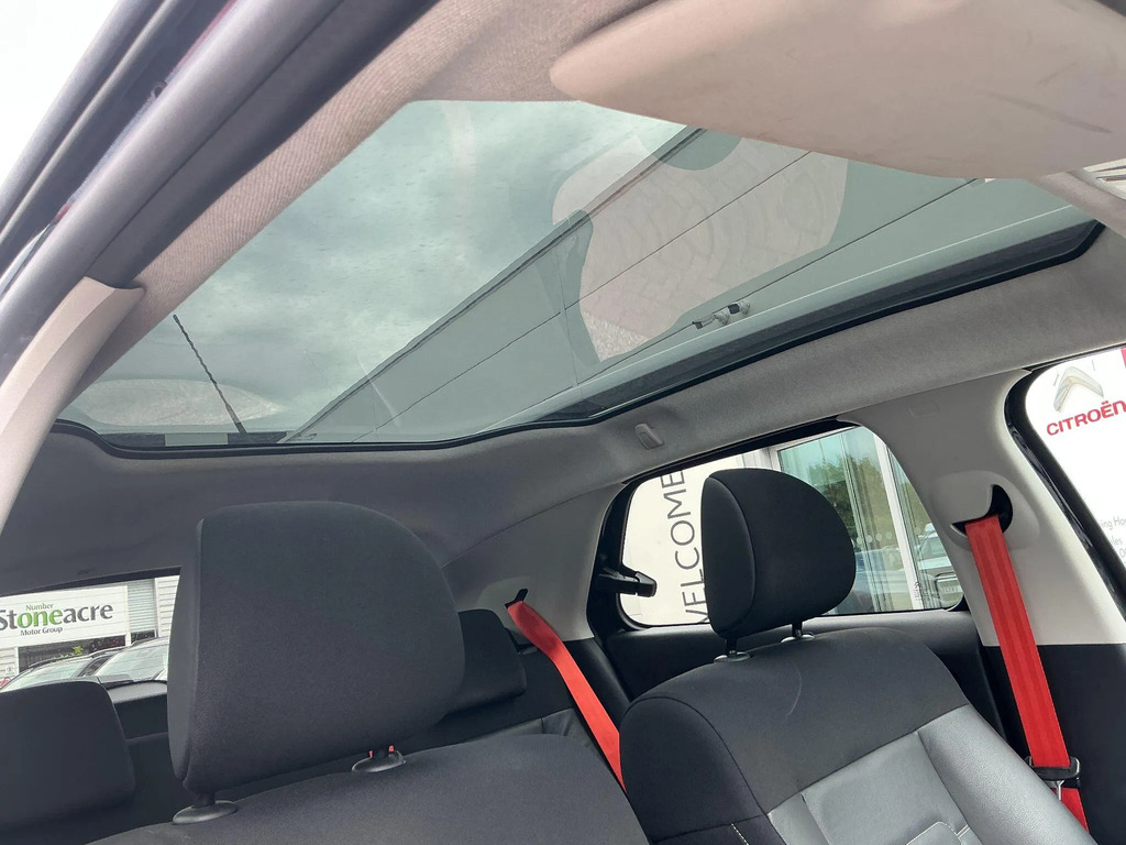 Citroen C4 Cactus 1.6 Bluehdi Flair Euro 6 Grey #14