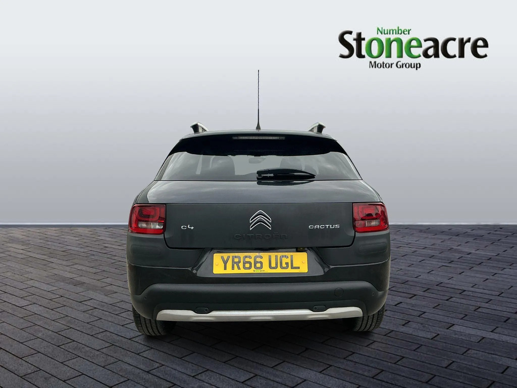 Citroen C4 Cactus 1.6 Bluehdi Rip Curl Euro 6  #6