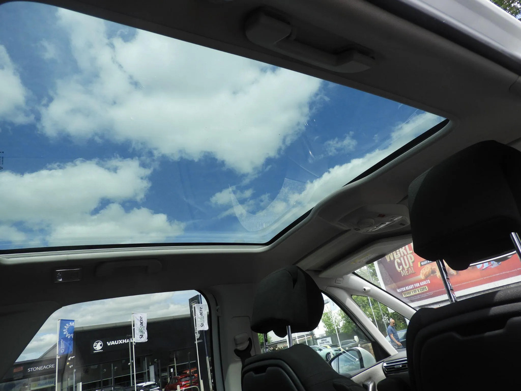 Citroen C4 Picasso Picasso Feel Bluehdi S Red #31