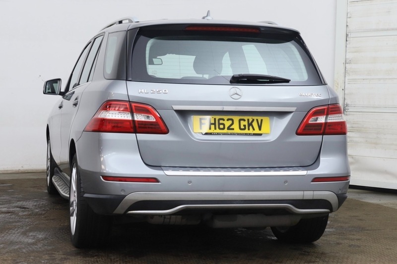 Mercedes-Benz M Class Ml250 Bluetec Special Edition Silver #6