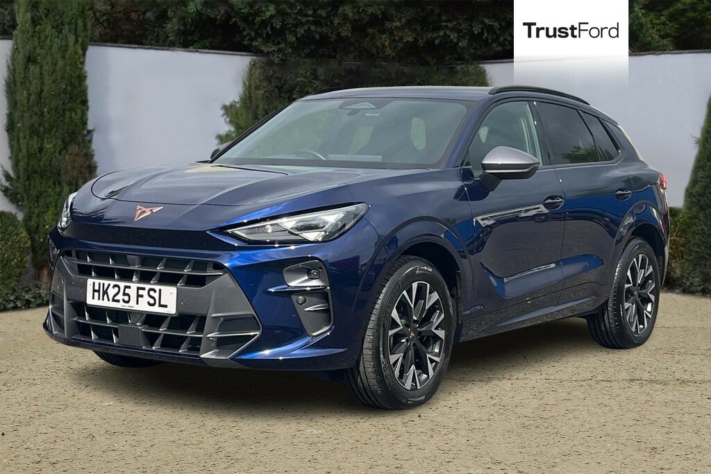 Cupra Terramar 2.0 Tsi 204 V1 Dsg 4Drive HK25FSL Blue #5