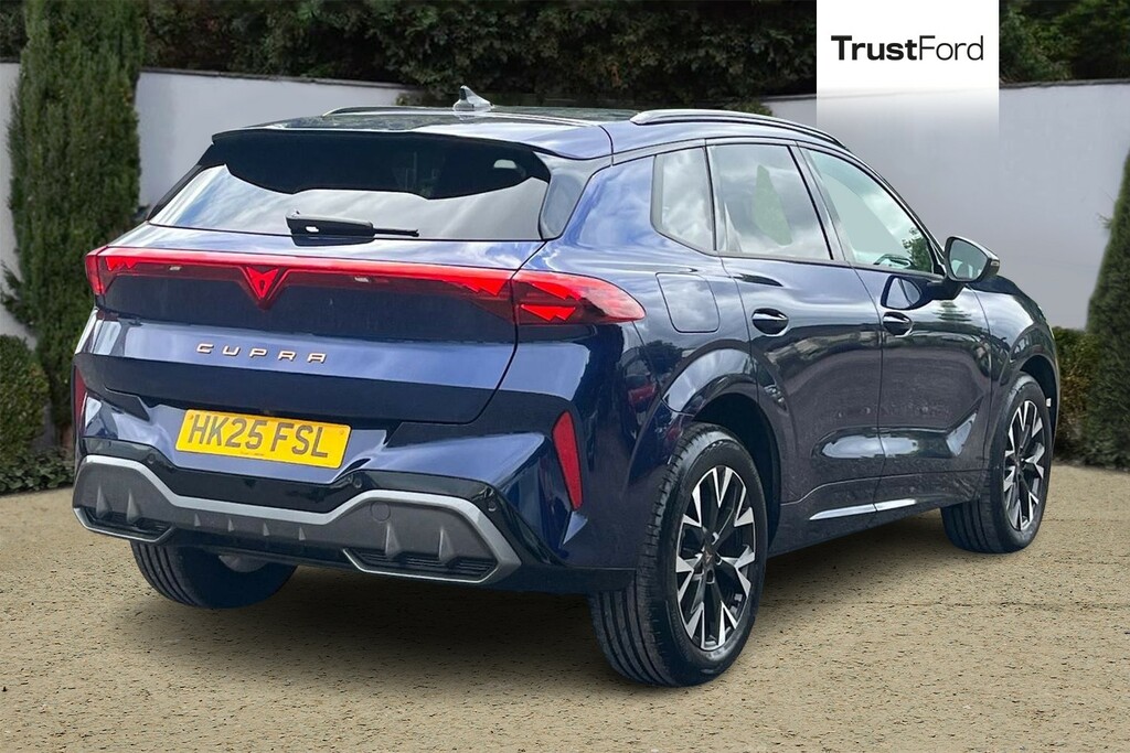 Cupra Terramar 2.0 Tsi 204 V1 Dsg 4Drive HK25FSL Blue #4