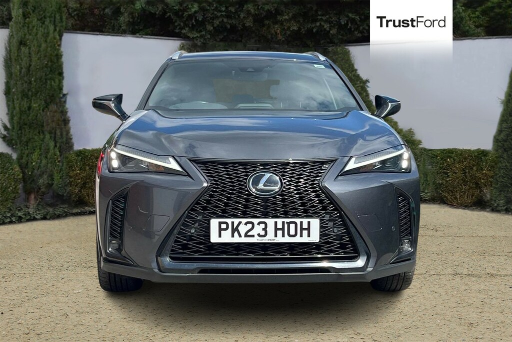 Lexus UX F-sport Design Heated Seats Wheel Rear View Ca Grey #6