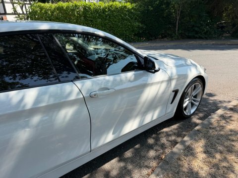 BMW 4 Series 420I M Sport Step #38