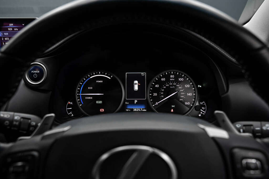 Lexus NX 2.5 Luxury Silver #10
