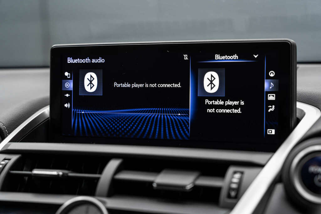 Lexus NX 2.5 Luxury Silver #26