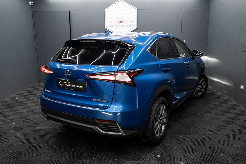 Lexus NX 2.5 Luxury Silver #23