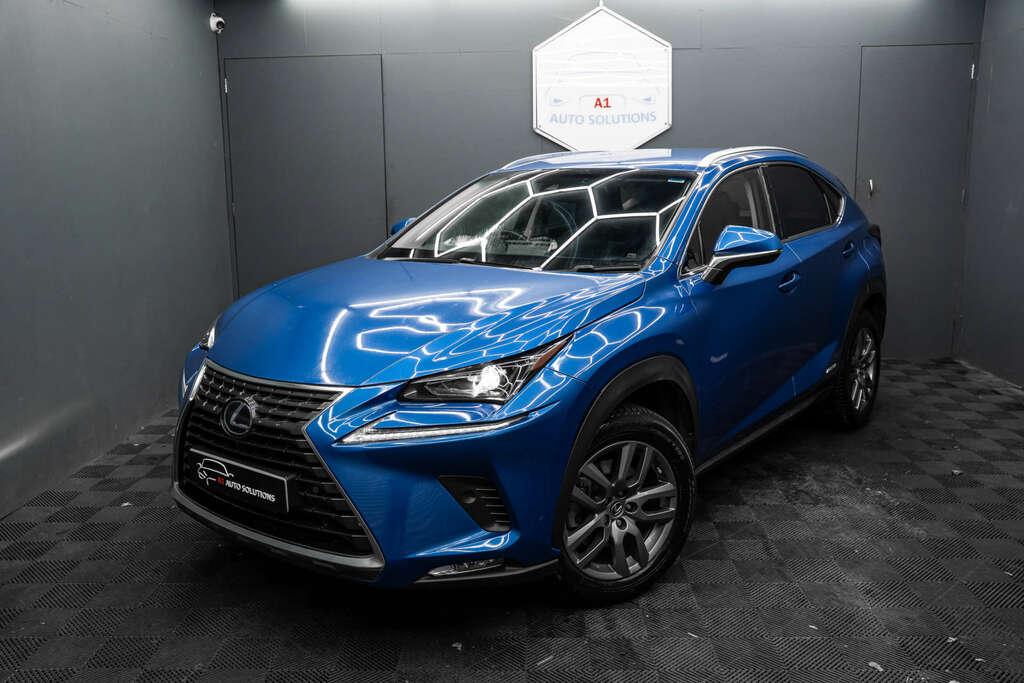 Lexus NX 2.5 Luxury Silver #19
