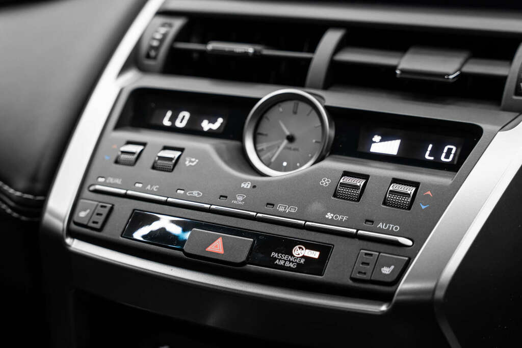Lexus NX 2.5 Luxury Silver #8
