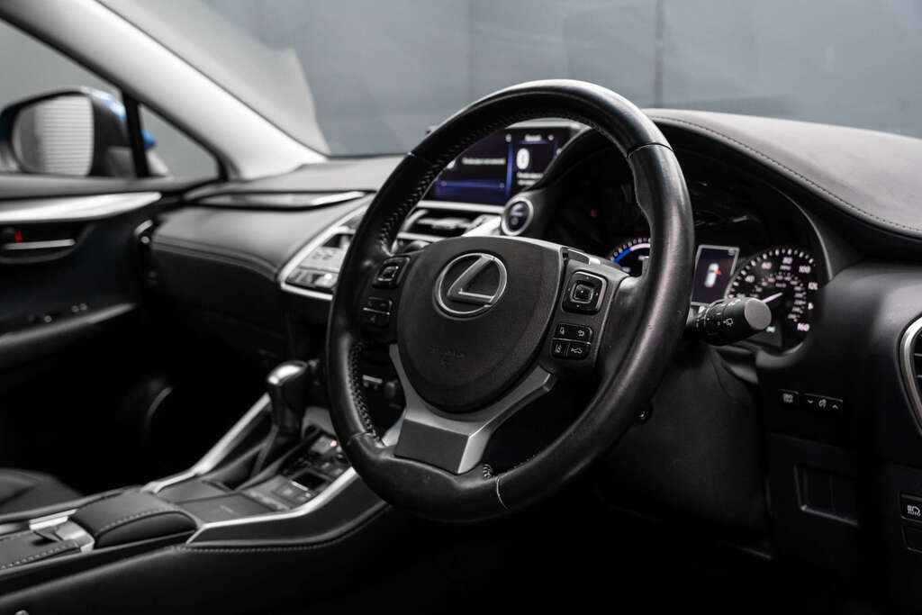 Lexus NX 2.5 Luxury Silver #12