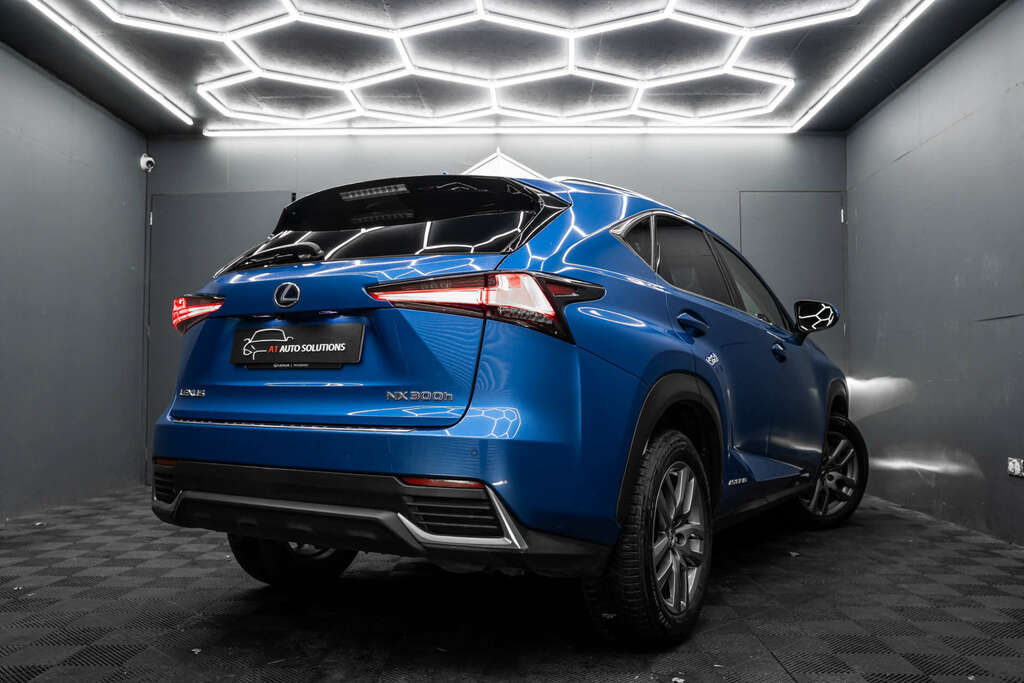 Lexus NX 2.5 Luxury Silver #13