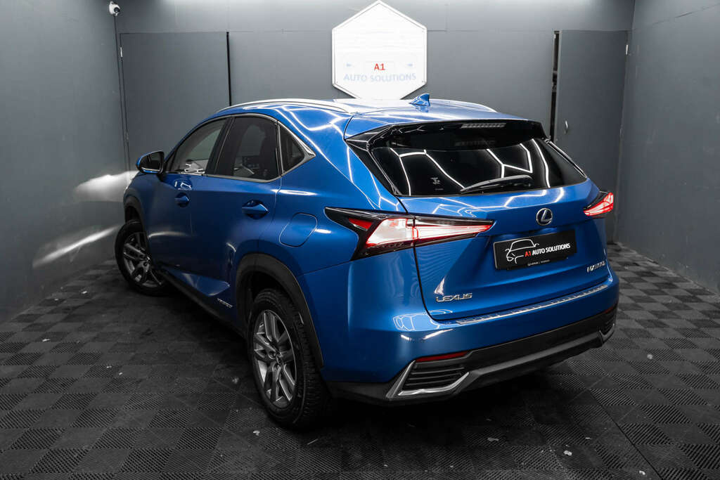 Lexus NX 2.5 Luxury Silver #25