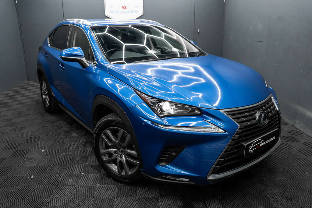 Lexus NX 2.5 Luxury Silver #17
