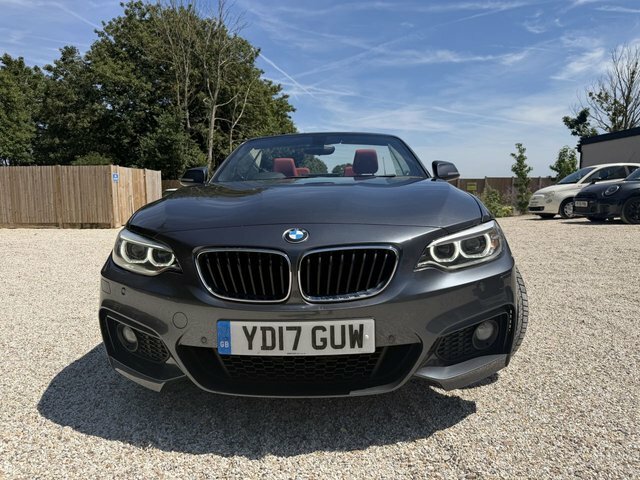 BMW 2 Series 2.0 220I M Sport Convertible Euro Grey #2