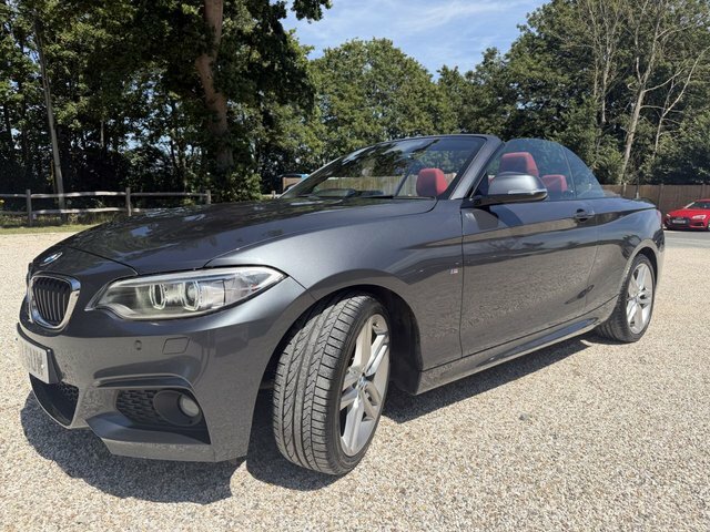 BMW 2 Series 2.0 220I M Sport Convertible Euro Grey #3